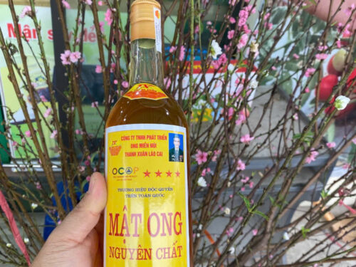 2043031856673356843 (3)