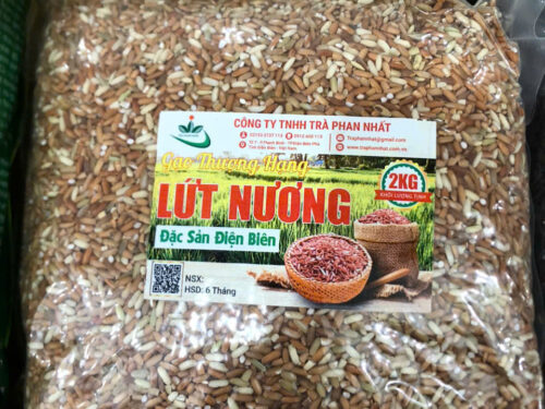 3327910472644875648 (1)