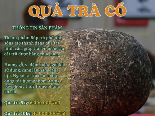 3774842775947619492 3774842775947619492